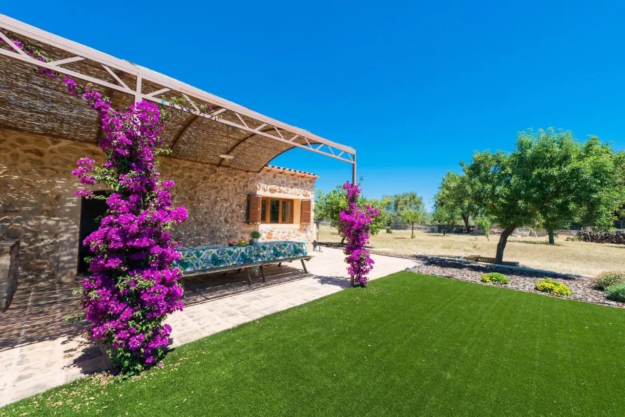 Paratge De Son Toniet Buger Spain